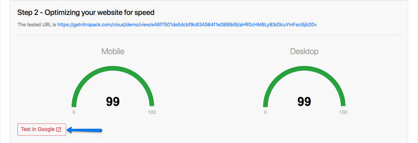 Google PageSpeed Insights Score Optimized