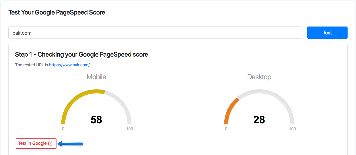 Google PageSpeed Score Insights Test