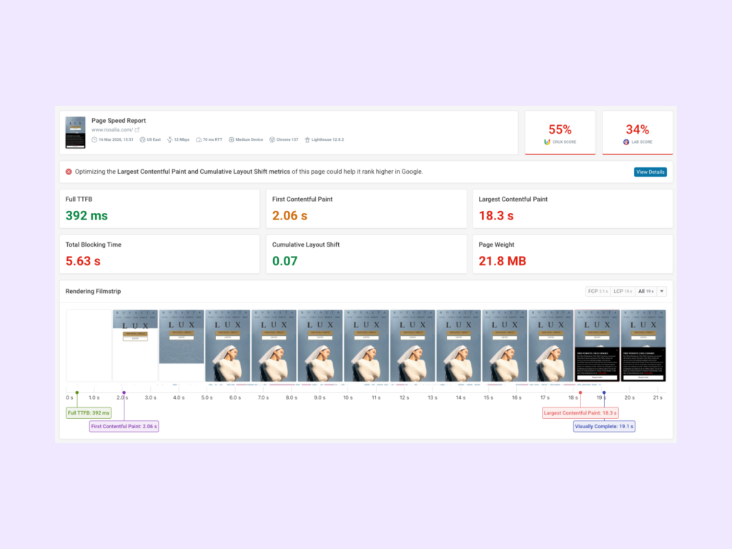 DebugBear Page Speed report page