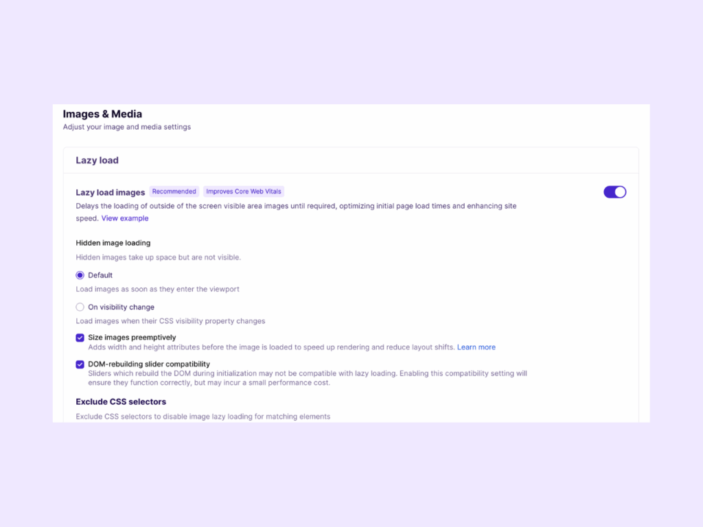 NitroPack’s image and media settings