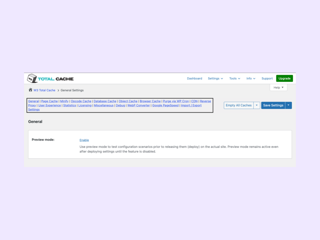 W3 Total Cache setting page