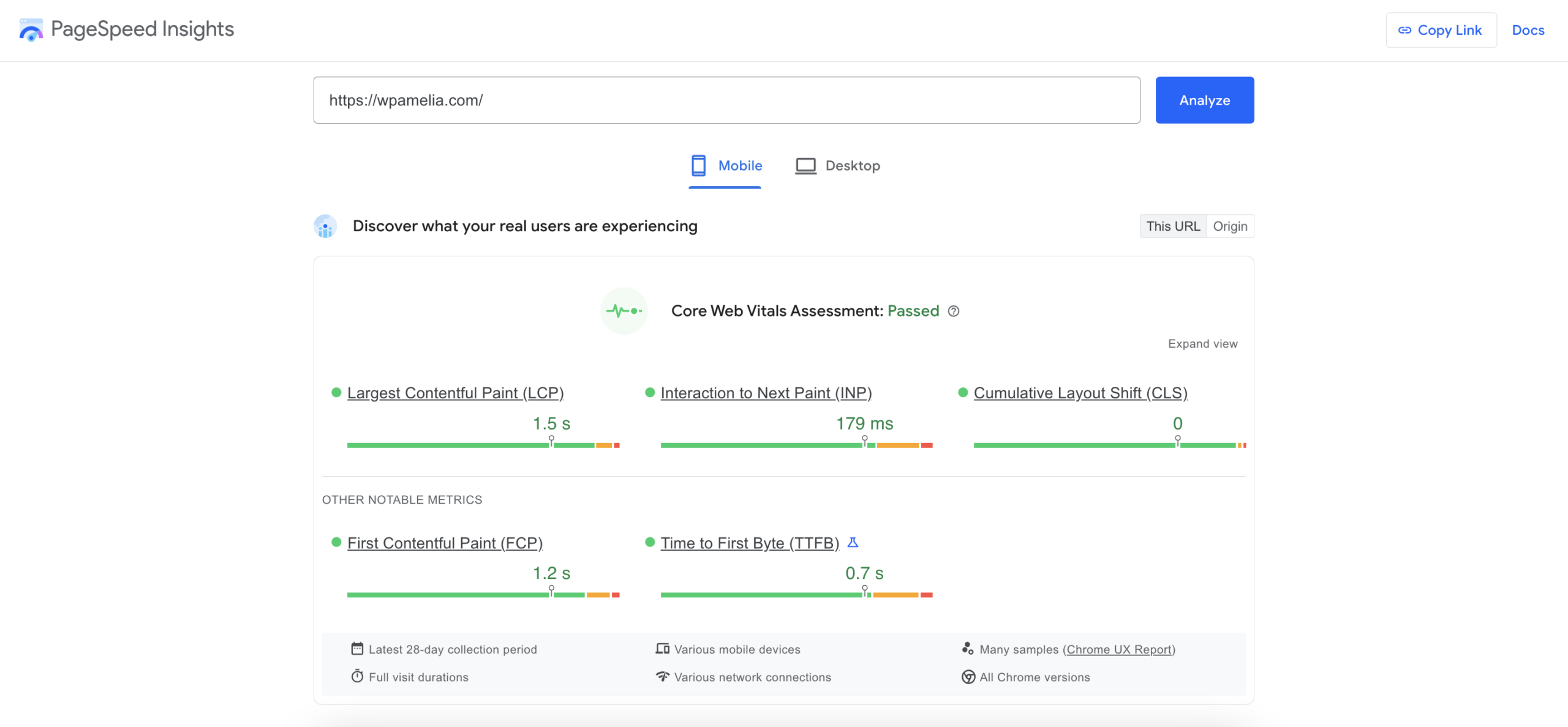 Google PageSpeed Insights Report