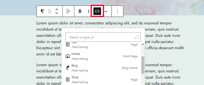 Link Control in WordPress 6.5