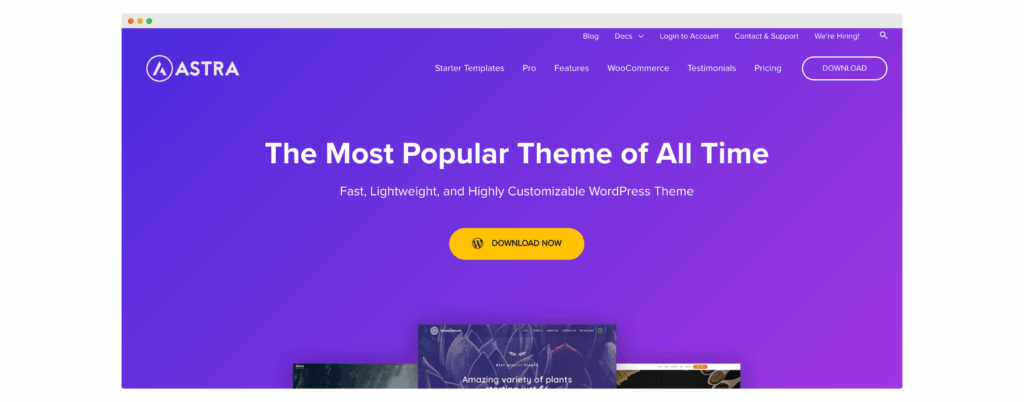 Astra home page theme