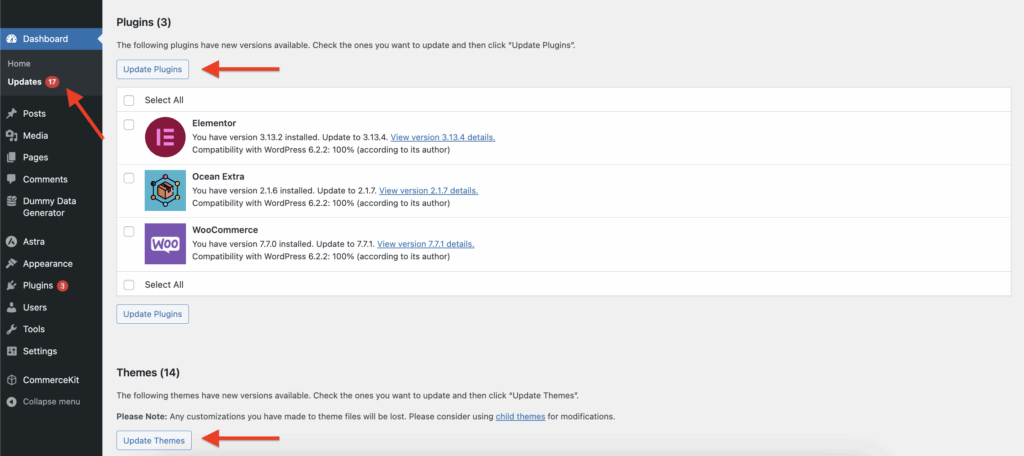 How to update WordPress plugins/themes