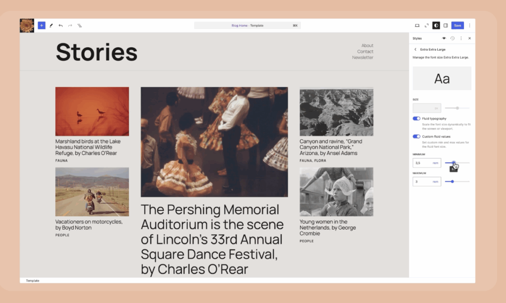Font Presets in WordPress 6.7