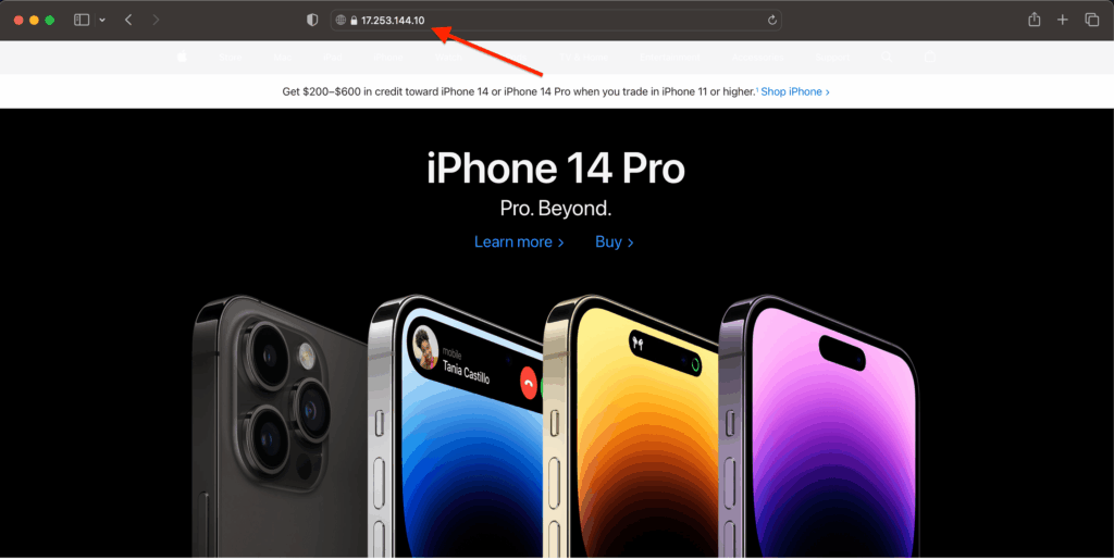 IP Address in Search