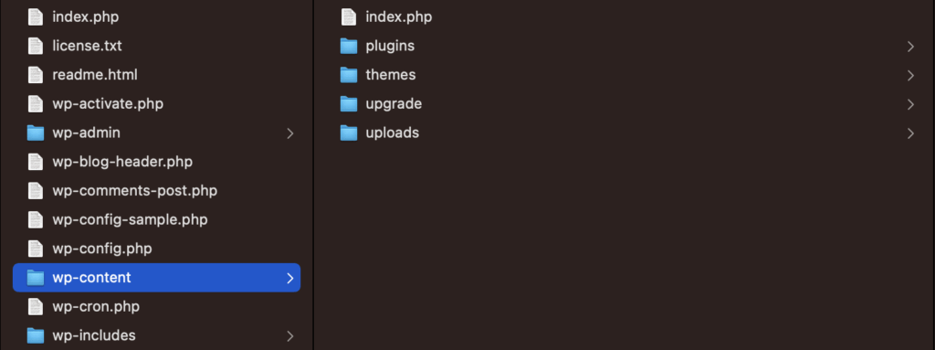 WP Content Root Directory
