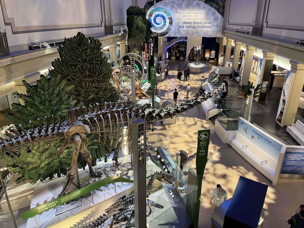 WordCamp US 2023 Social at the Smithsonian Museum