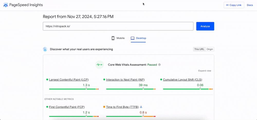 PageSpeed Insights report