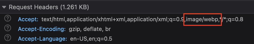 Accept Header WebP