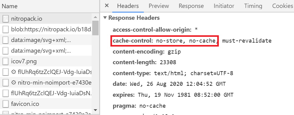 No store no cache headers