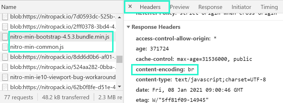 DevTools compression and magnification