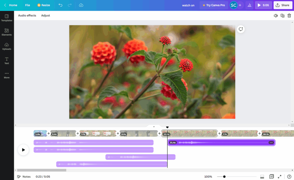 Canva Video Editing