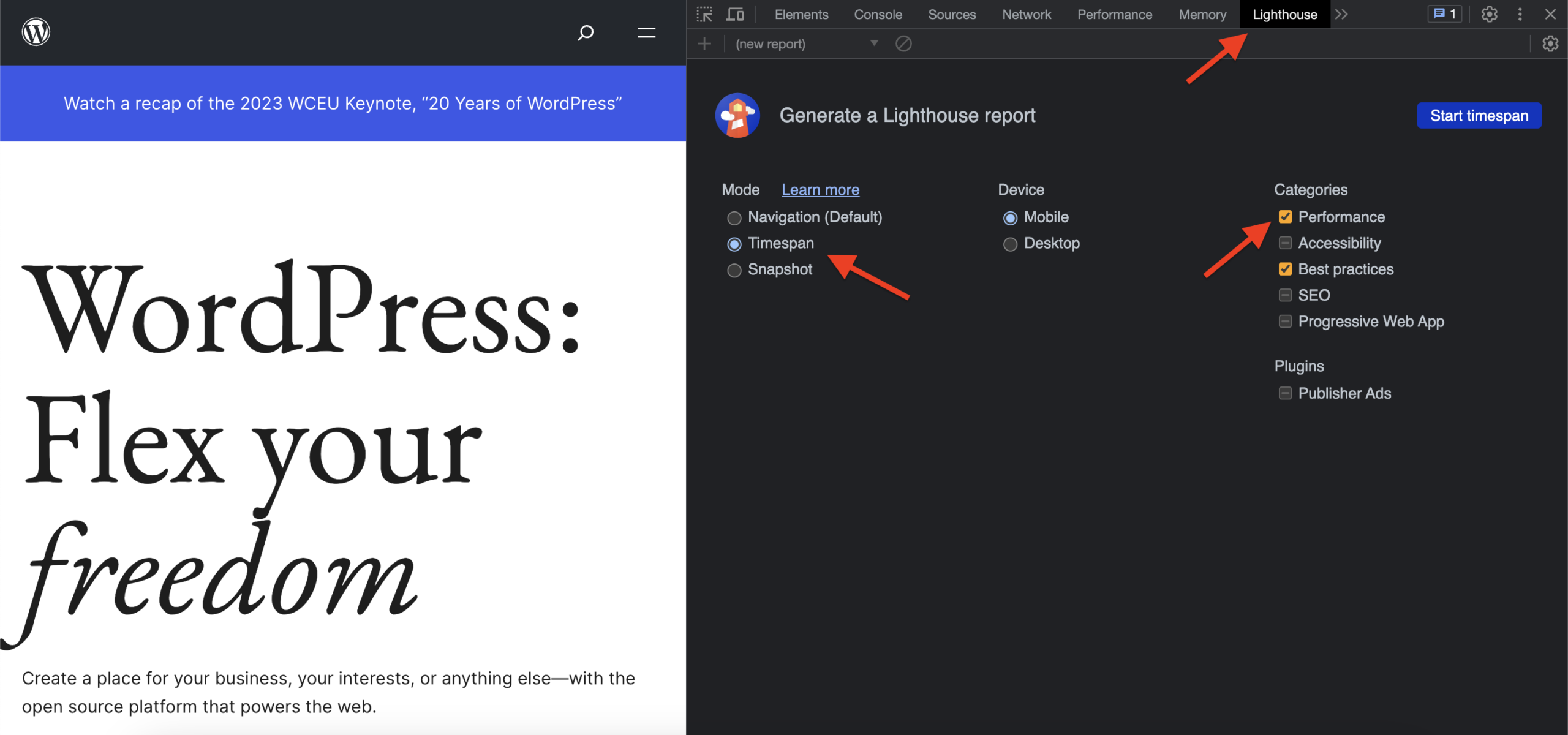 Chrome DevTools Lighthouse timespan